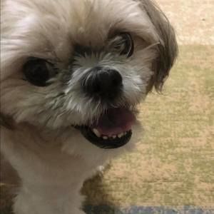 Meet your Posher, Monica